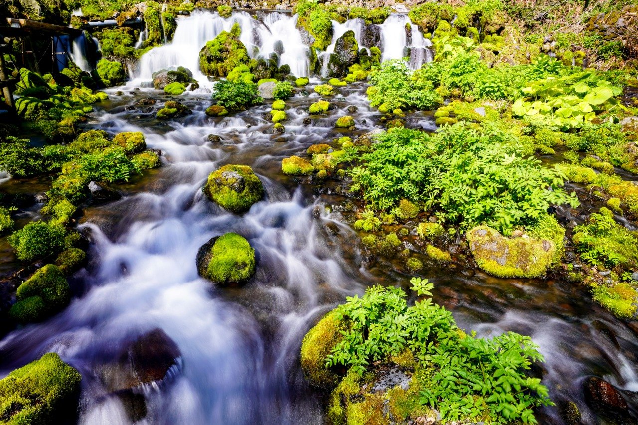 🏞️ 분출 공원 (후키다시 코엔) 이미지 6